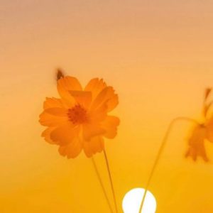 超级美的神仙古风短句-黑六网