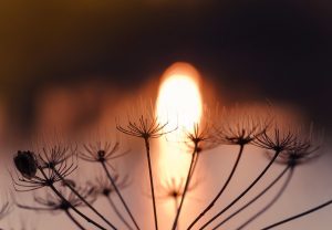 简短诗意的神仙句子-黑六网